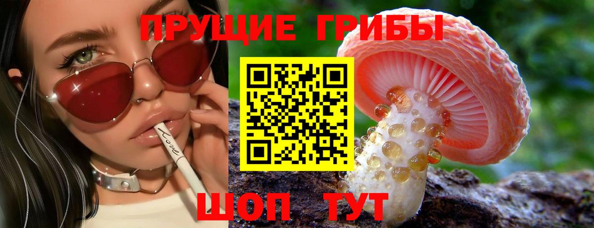Галлюциногенные грибы Psilocybe Сургут